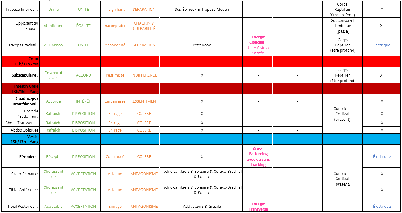 Tableau de synthese 2