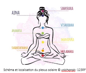 Schema et localisation du plexus solaire