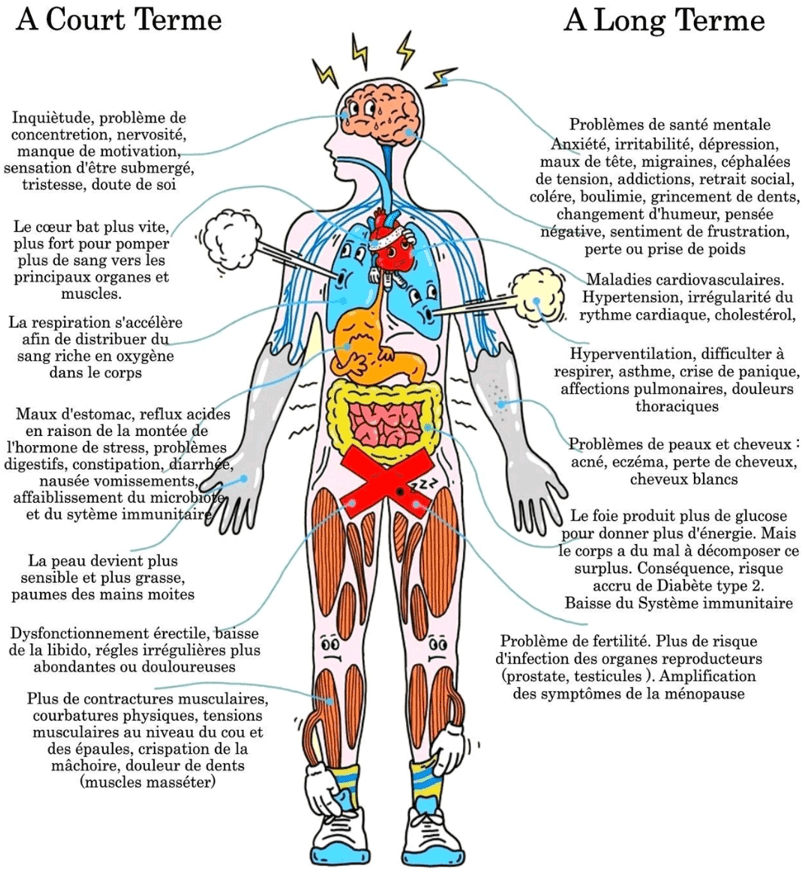 Représentation des effets du stress sur le corps