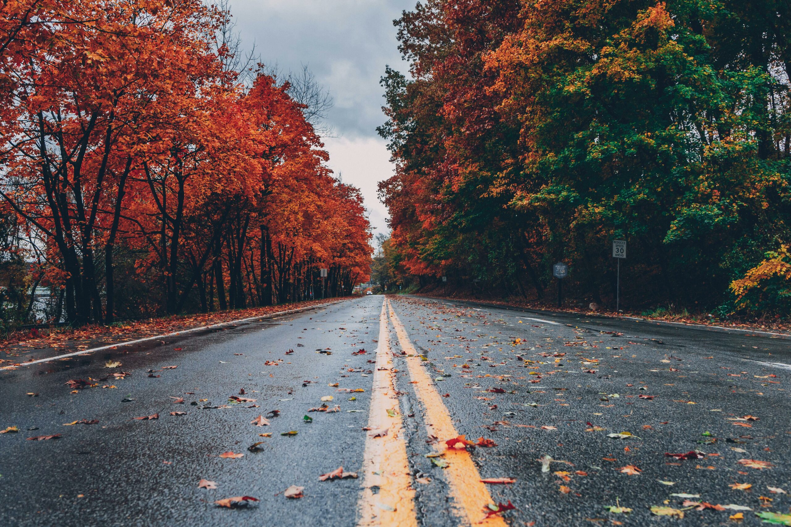 route déserte en automne