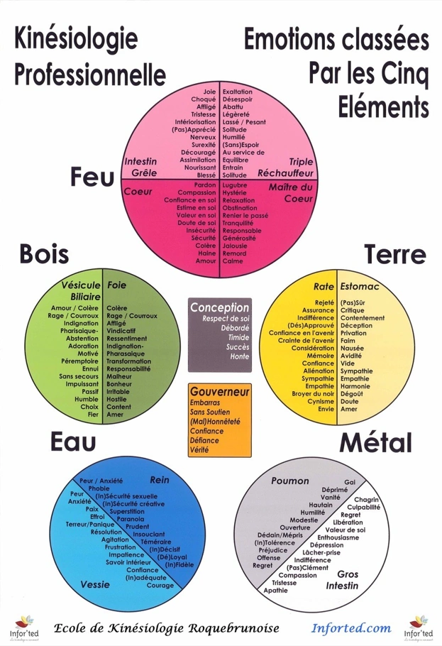 Roue des émotions