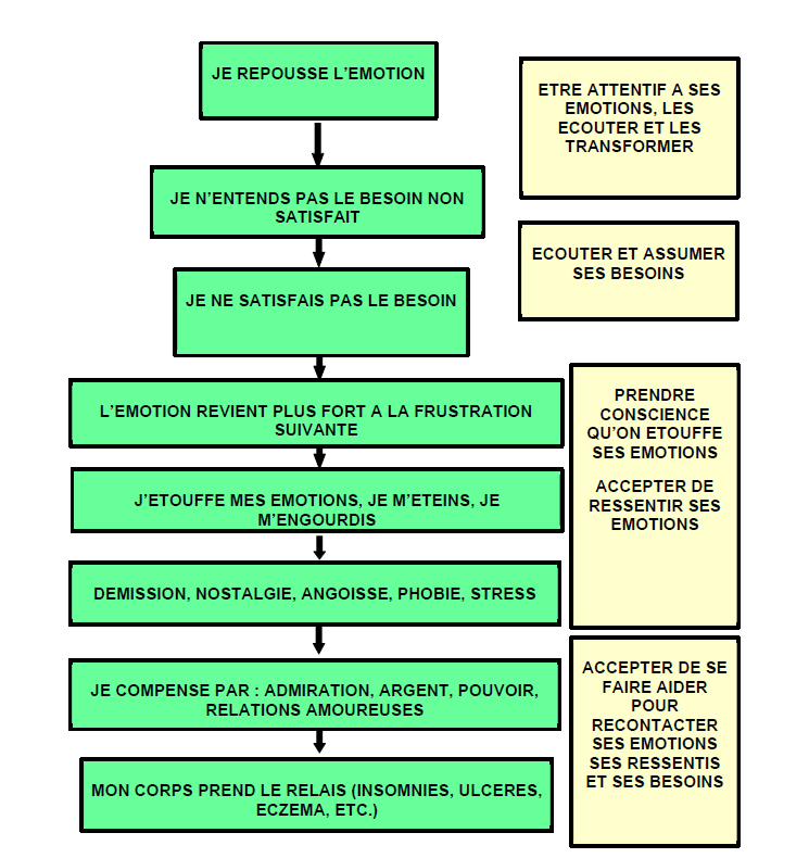 Schéma chemin des émotions