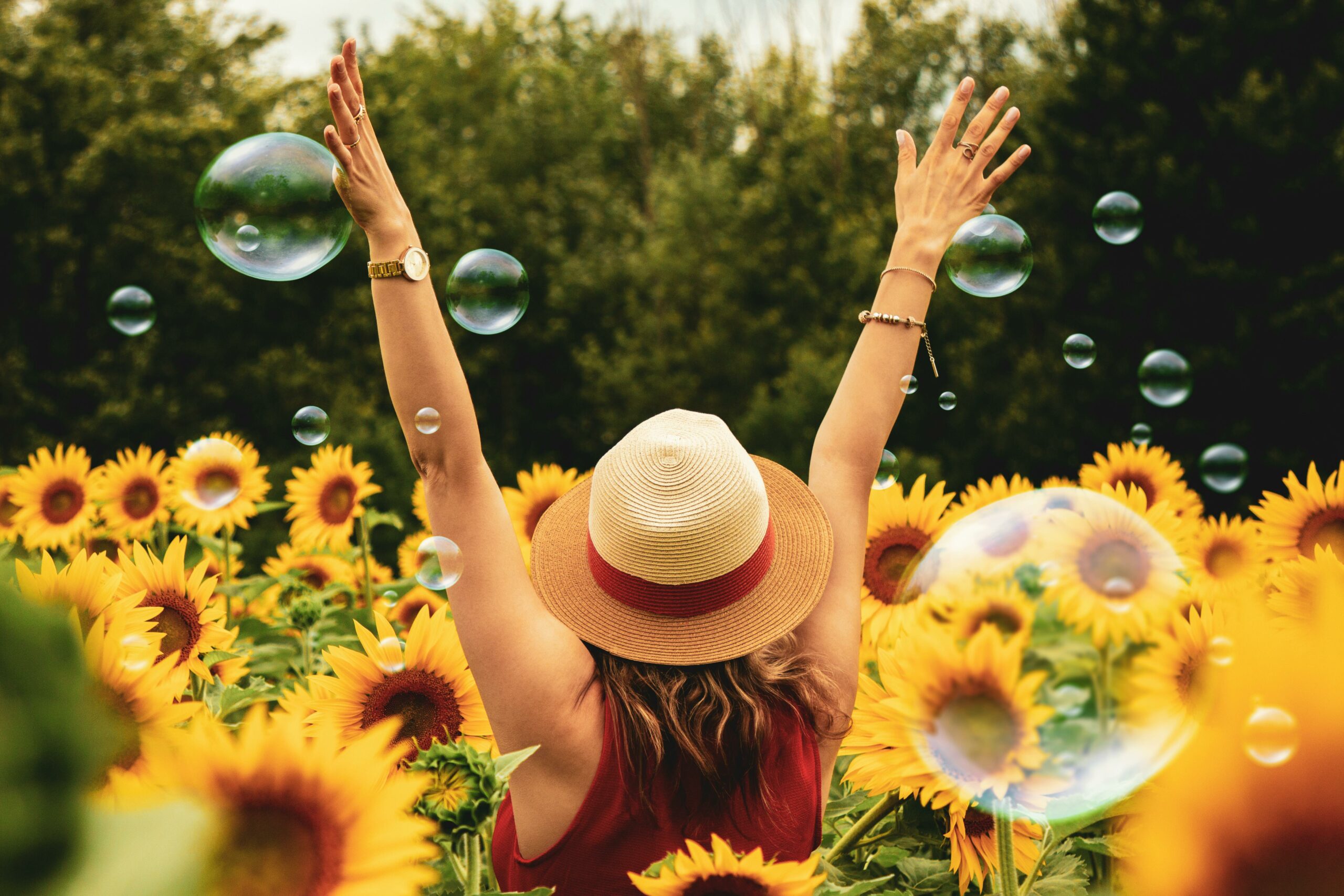 Jeune femme de dos bras levés dans un champ de tournesol et bulles de savon